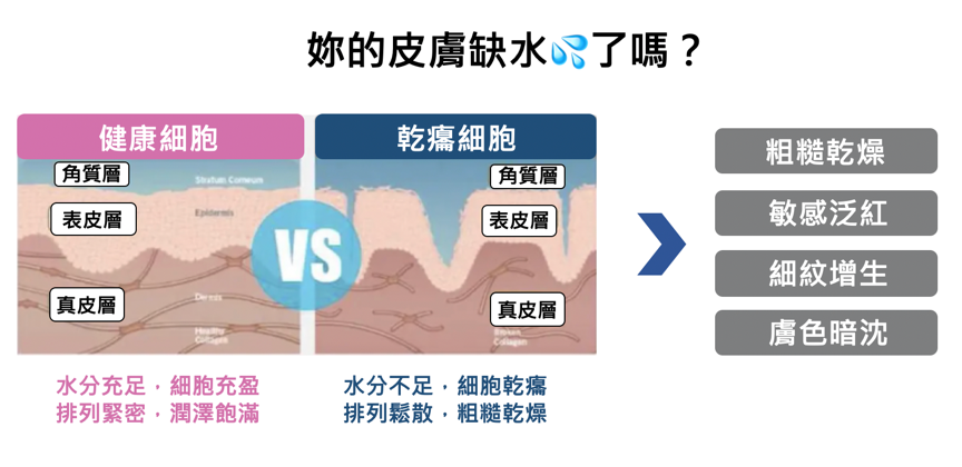 女人不能不知道的卵磷脂！緊鎖美肌、修復瑕疵的卵磷脂保養品，重建肌膚天然屏障的美肌秘訣