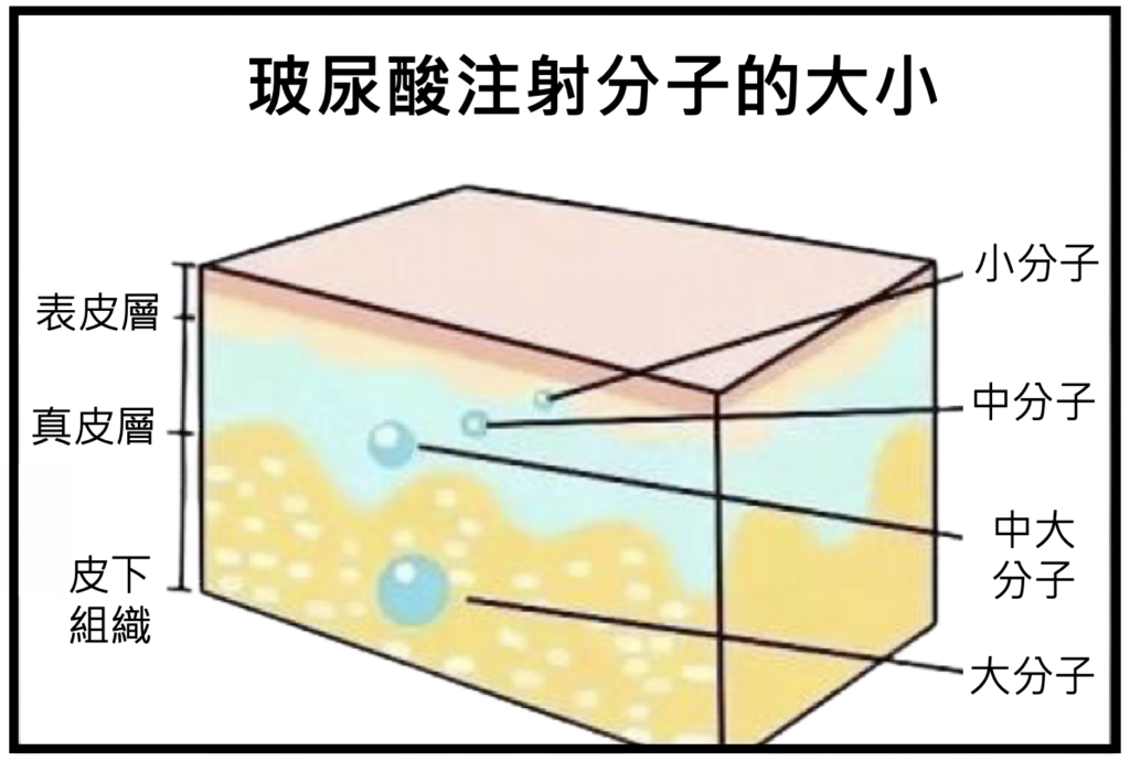 【我的真實醫美修復紀錄】選對醫生很重要！從點線面進行4D全臉矯正，我推薦梁仲斌醫生的全面性醫學美容治療