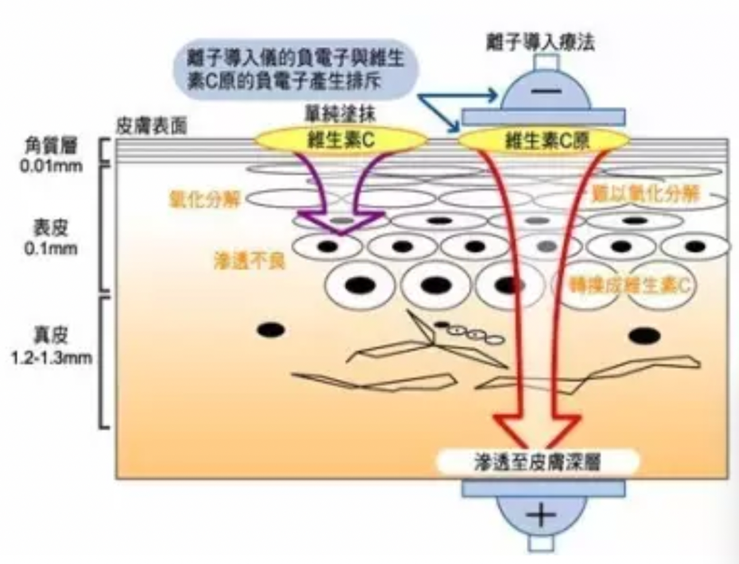 居家美容護膚神品「日本負離子水洗式磁石面膜」媲美醫美導入儀的瞬間導出髒污面膜，懶人在家30秒輕鬆做專業SPA護理！