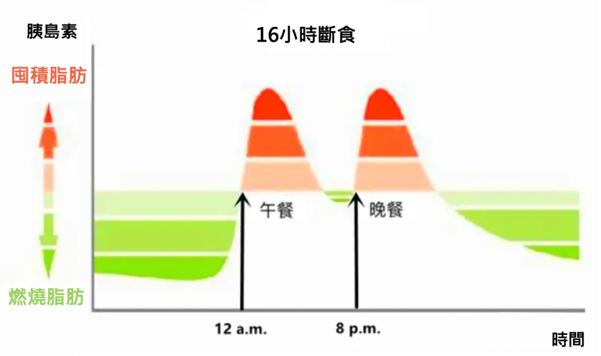 168斷食一個月沒瘦？試試「斷食＋低醣飲食」大幅增加飽足感！高速提升斷食成效，加倍燃燒小腹脂肪