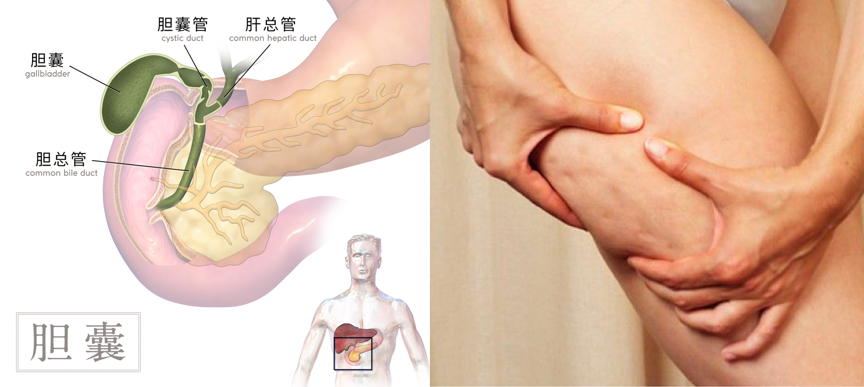 超級食物「薑黃」速效代謝、燃脂瘦身！吃對等於每天運動3小時，擺脫體內多餘膽固醇與血脂