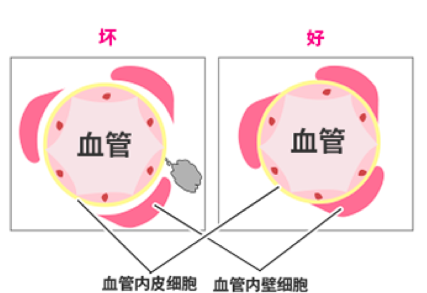 「PRP療程」啟動血管超速修復力！9大生長因子喚醒血管新生，從肌底激活膠原蛋白增生