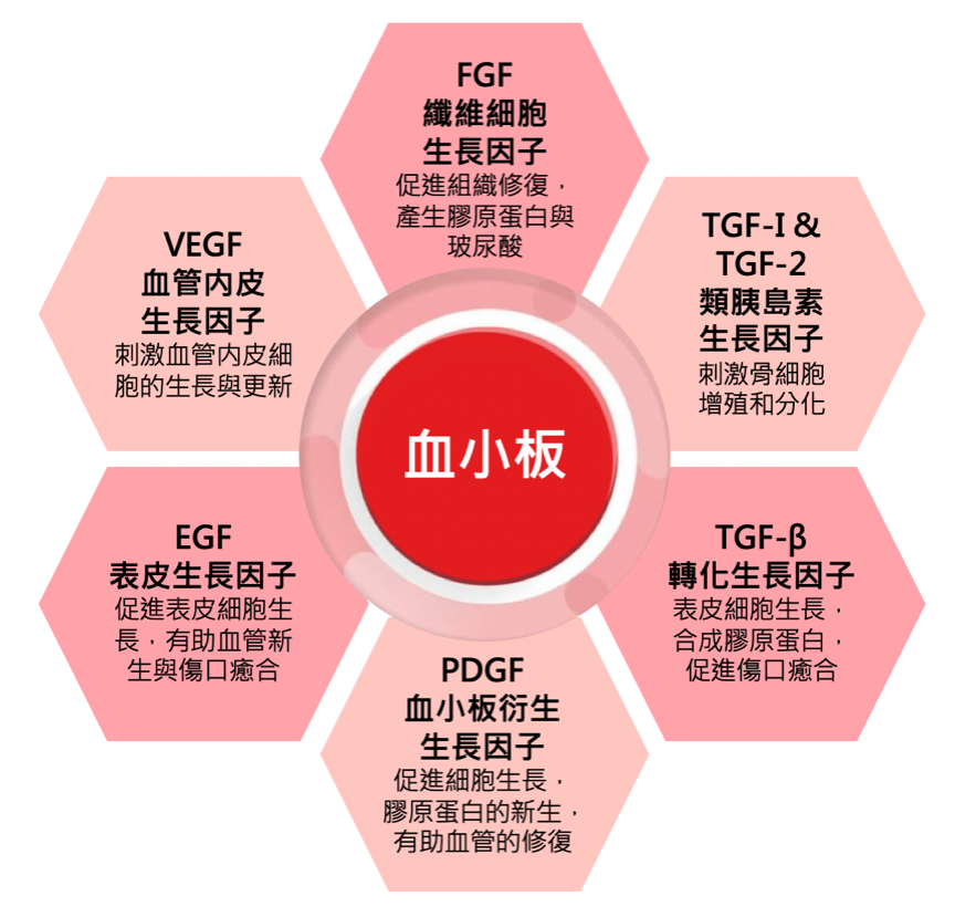 「PRP療程」啟動血管超速修復力！9大生長因子喚醒血管新生，從肌底激活膠原蛋白增生
