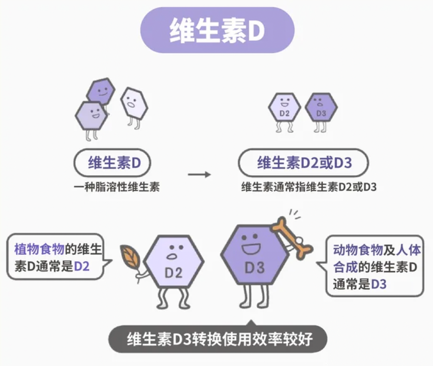 嗜喝咖啡造成「維生素D」加速流失？台灣9成人都缺乏「維生素D」！維生素D食物排行整理 降低骨質疏鬆、慢性發炎和失眠肥胖