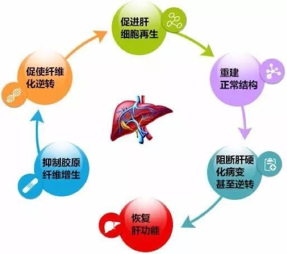 嗜喝咖啡造成「維生素D」加速流失？台灣9成人都缺乏「維生素D」！維生素D食物排行整理 降低骨質疏鬆、慢性發炎和失眠肥胖