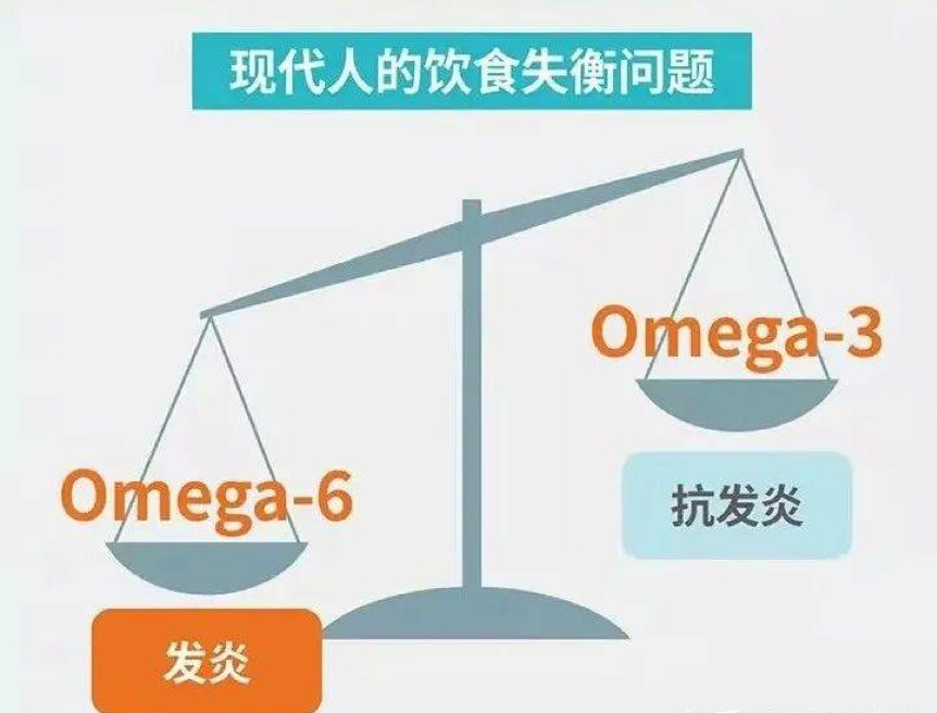 每天這1招養成燃脂體質、終生瘦用！提升代謝救星「Omega-3」助減重瘦身、擊潰深層體脂肪！