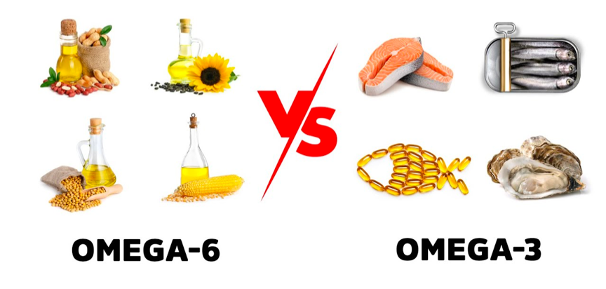 每天這1招養成燃脂體質、終生瘦用！提升代謝救星「Omega-3」助減重瘦身、擊潰深層體脂肪！