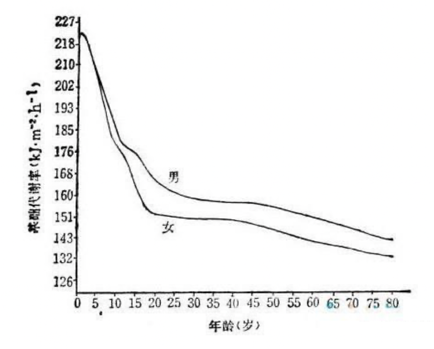 逆轉新陳代謝率就靠「檸檬酸循環」打造躺著就燃脂的易瘦體質