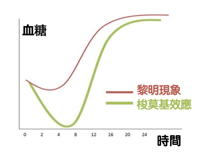 「多纖美白腎豆減醣粉」5大斬醣去油專利成分，餐前阻斷醣類、攔截油脂與熱量，吃出易瘦體質