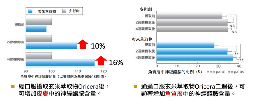 口服神經醯胺優化「養膚黃金時刻」！重新定義「早P晚R」 吃出滑嫩蜜糖肌
