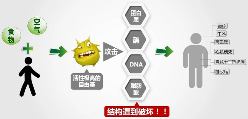 抗氧化保養品到底能不能抗老？關鍵是選對成分！2分鐘完整認識「抗老之王」兒茶素EGCG