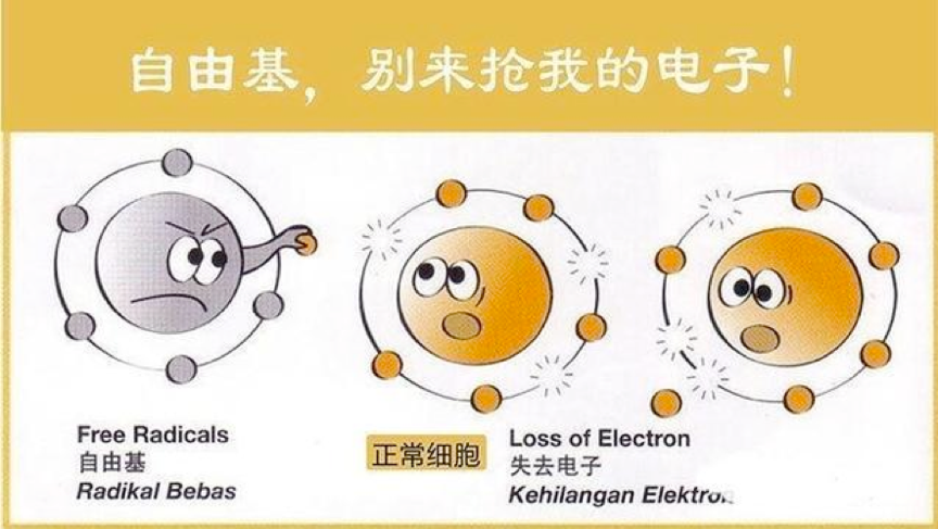 抗氧化保養品到底能不能抗老？關鍵是選對成分！2分鐘完整認識「抗老之王」兒茶素EGCG