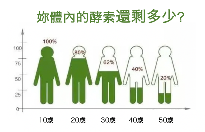 40歲後體內酵素剩不到一半！酵素是活化全家人的健康催化劑 有「酵」決定妳的代謝、體質與排毒