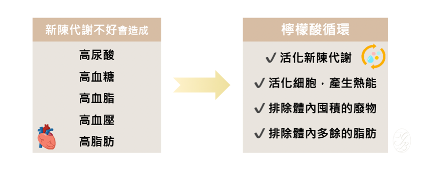 如果妳想要盡可能避免食品添加物造成的健康危害，最關鍵的就是必須加強自己身體的代謝能力，可以靠攝取「檸檬酸」輕鬆強化新陳代謝，加速排泄體內酸的廢棄物與毒素，就能大幅減輕肝臟、腎臟的排毒負擔。